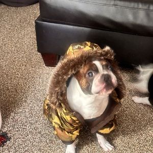 Pet Life Metallic Fashion Dog  Camouflage  Parka Coat with Removable Hood